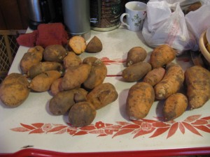 the sweet potatoes i used when making my triple batch