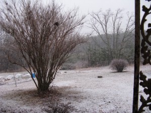 snow day on the farm!