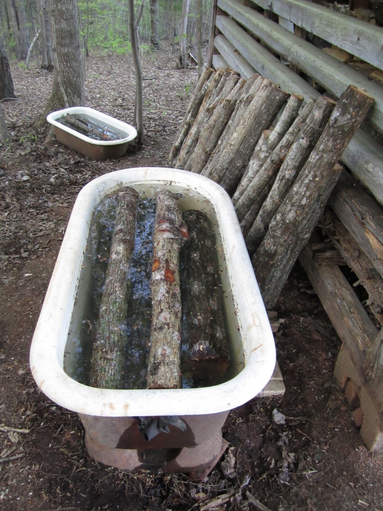 two bathtubs filled with soaking mushroom logs!