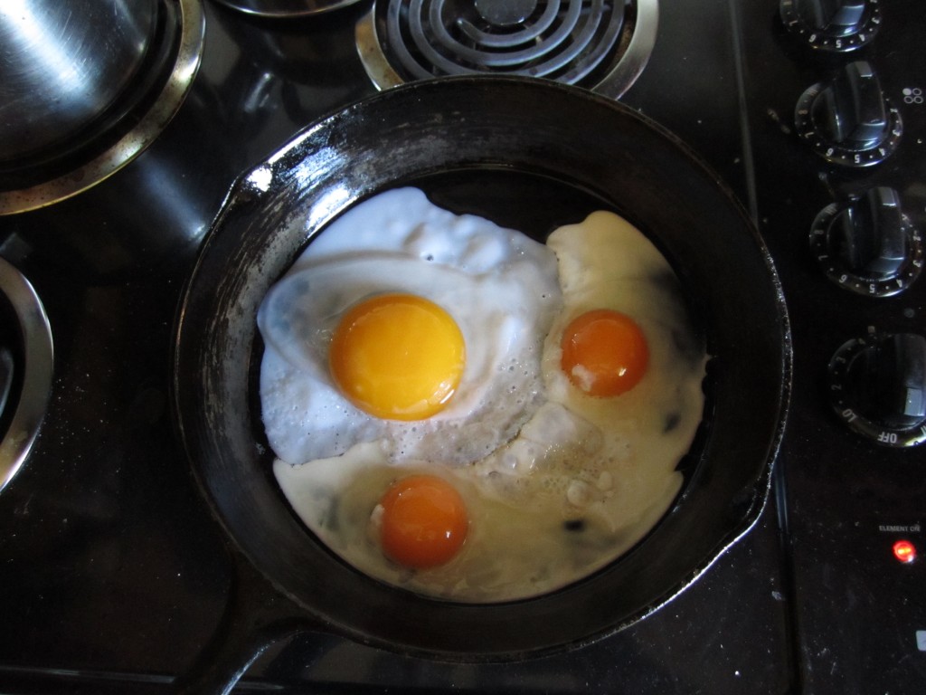 check out the size of this goose egg; the other eggs a re standard chicken eggs!