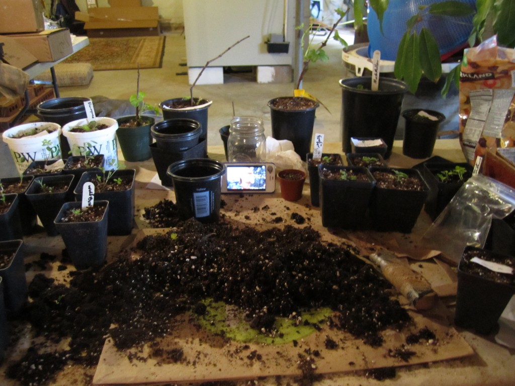 potting station