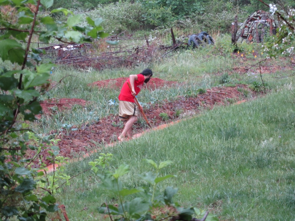 garden swales permaculture