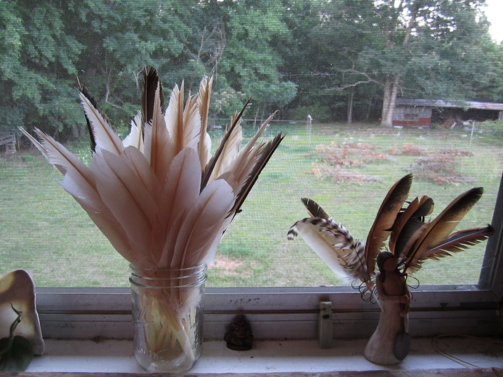 my feather collection: goose feathers on the left and rooster tail feathers on the right.