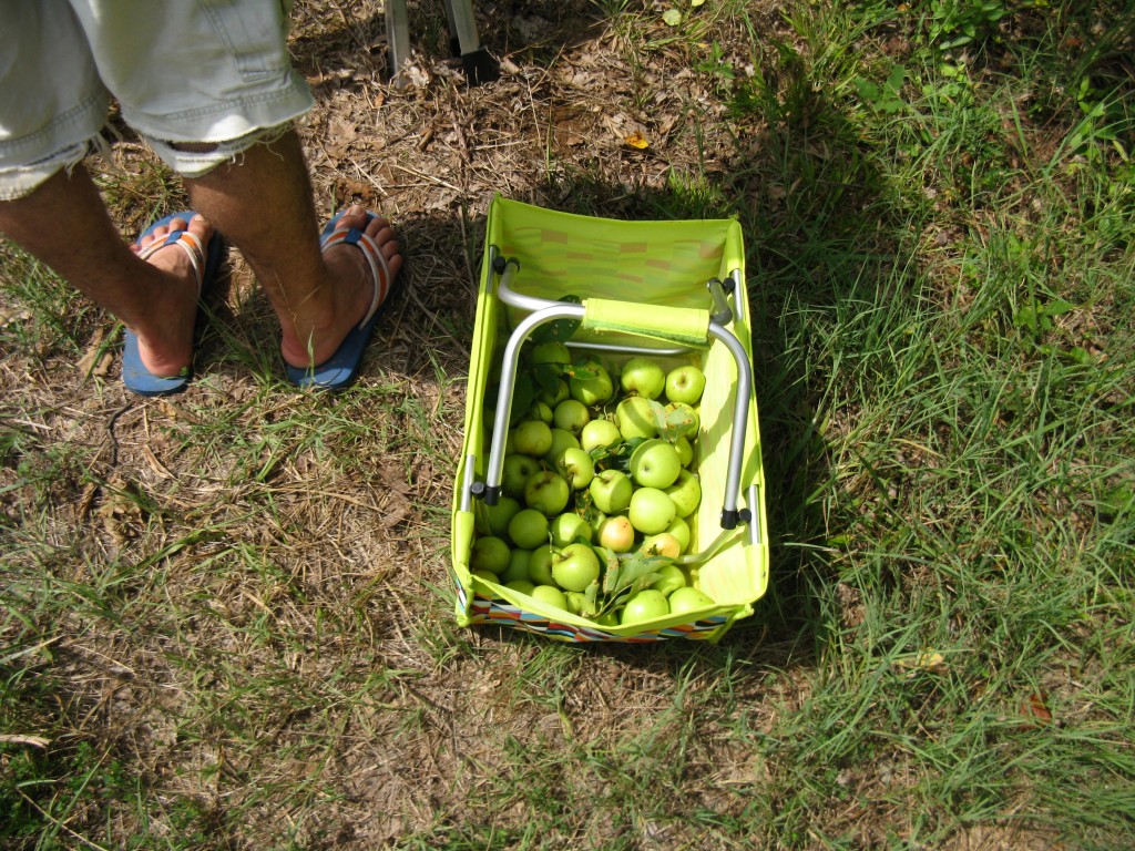 jason's picking basket.