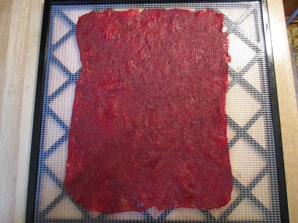 a sheet of cranberry fruit leathers fresh out of the dehydrator