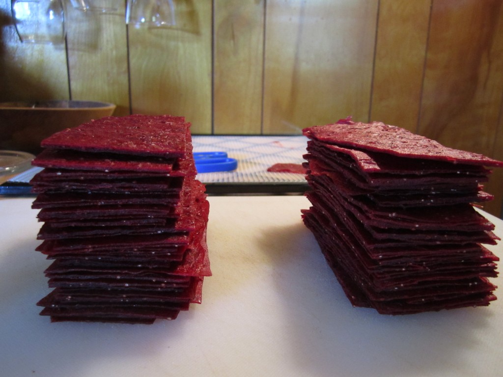 stacks of serving size fruit leathers slices. dare you not to eat 20 at once!