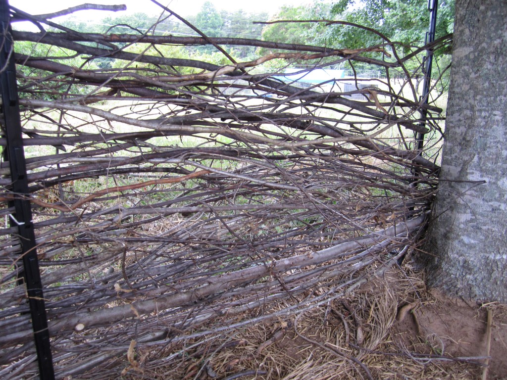 wattle fencing homesteading