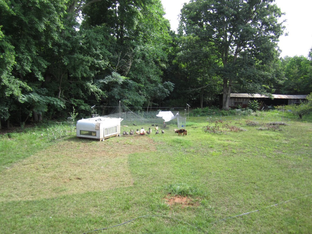 mobile chicken coop