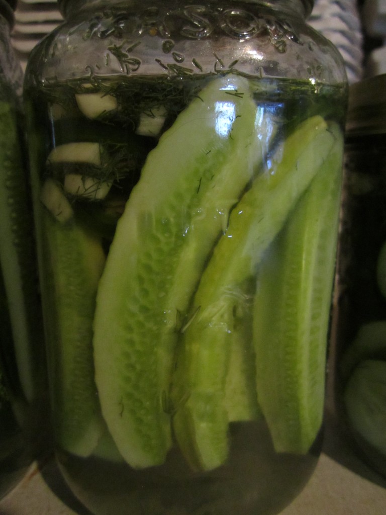 cucumber spears with garlic, dill, and jalapeno slices.