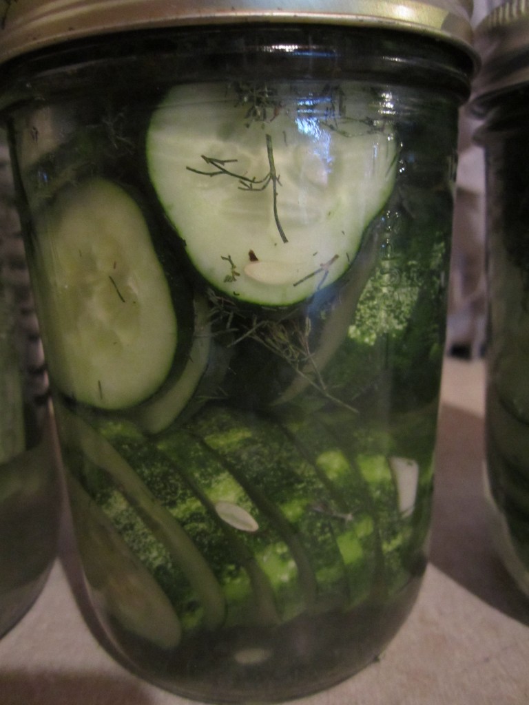 cucumber slices with garlic, dill, and jalapeno slices.