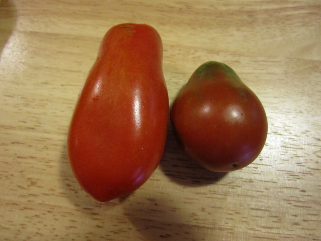 san marzano on the left, black plum on the right.