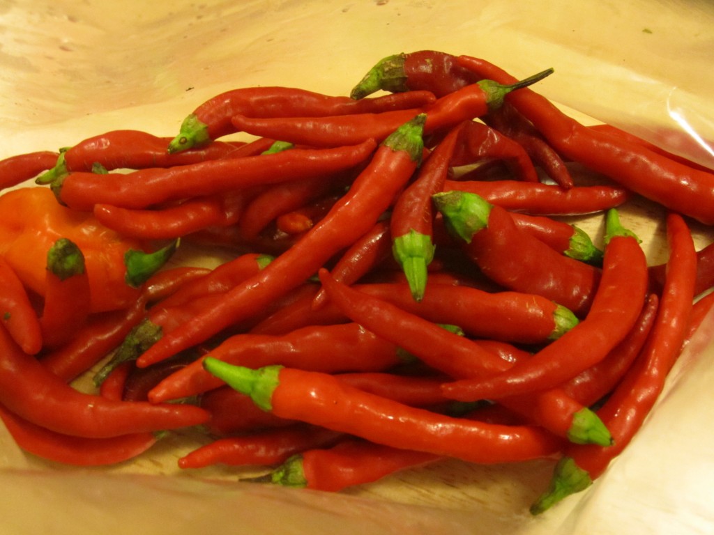 spicy cayennes