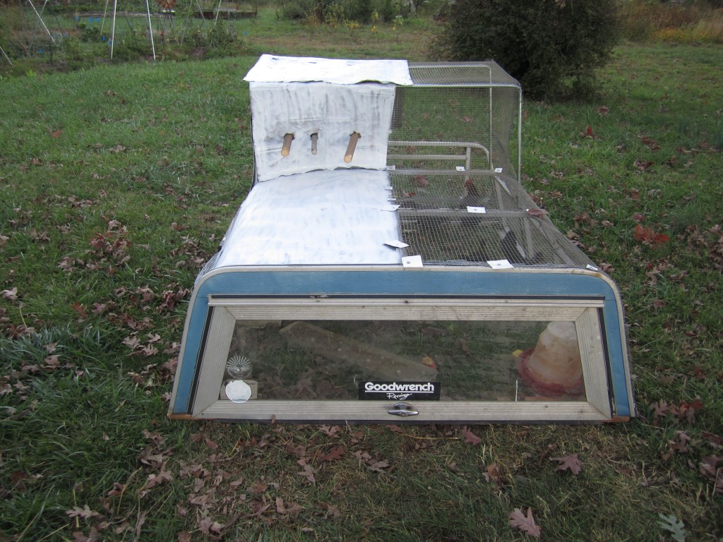 bantam chicken tractor