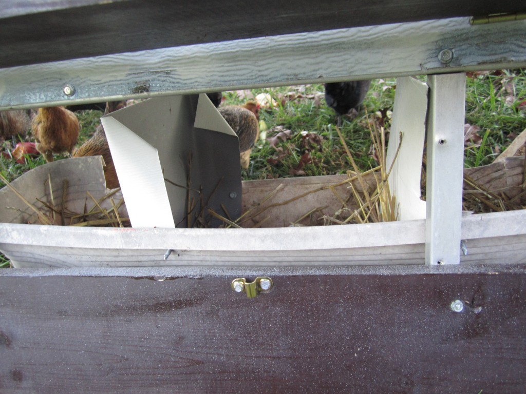 bantam nest box