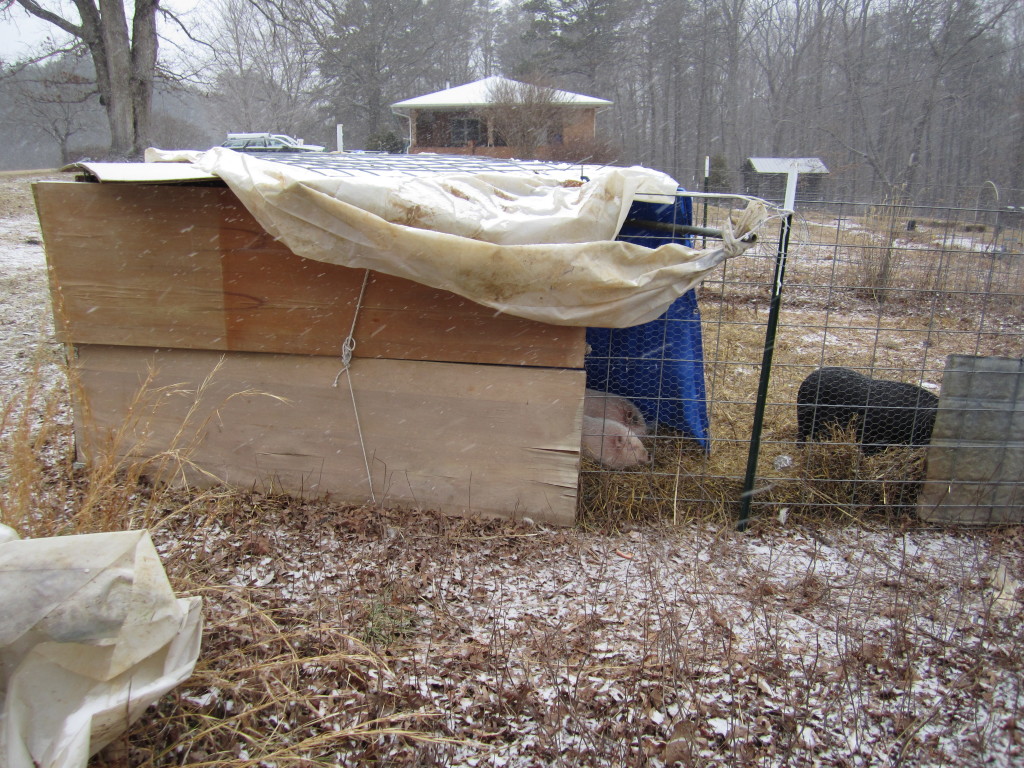 The side of the shelter