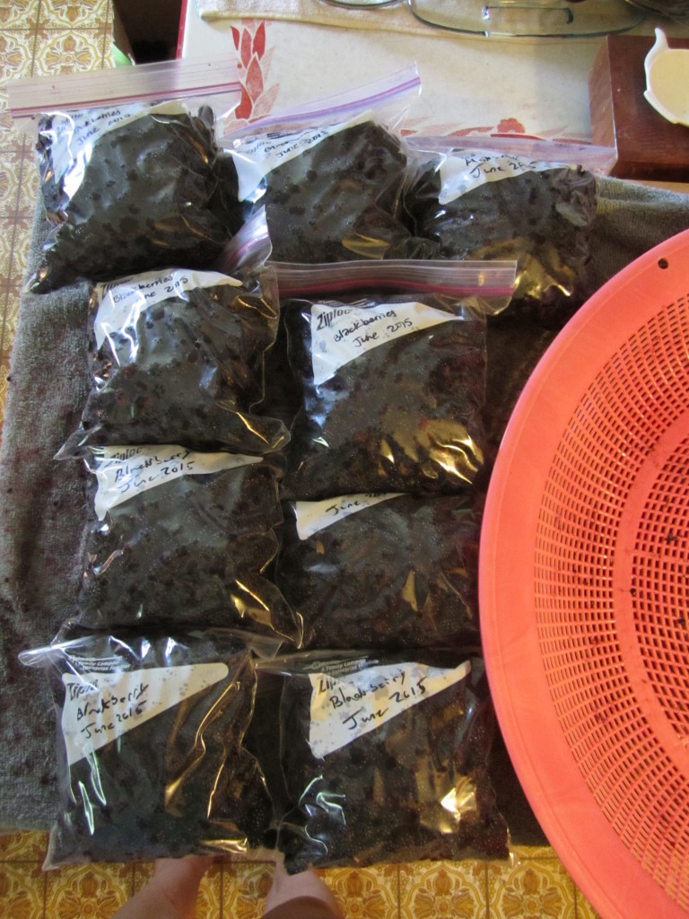bags of blackberries